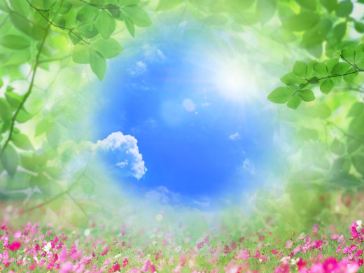 400323 (a): :1600x1200